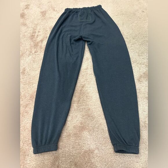 Aviator Nation Charcoal Rainbow Embroidered Sweatpants - Picture 7 of 7